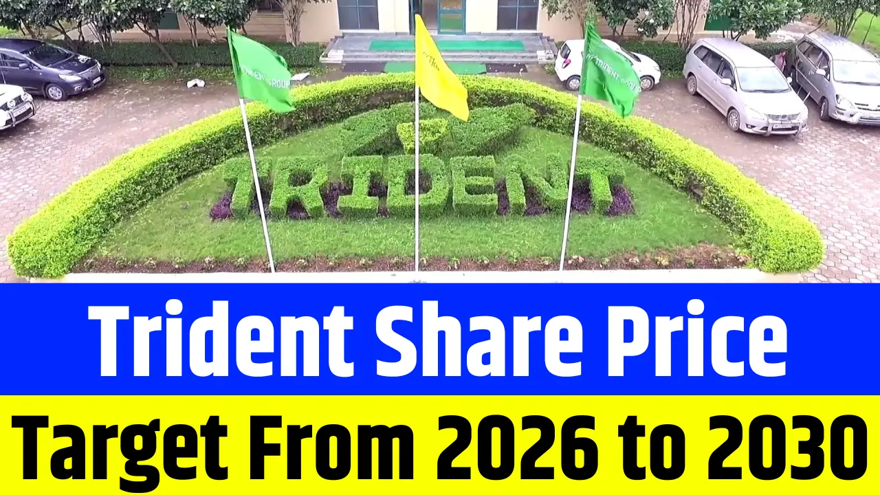 Trident Share Price Target
